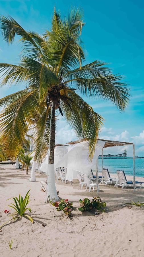 Makary Beach Tolu By Bernalo Hotels ภายนอก รูปภาพ